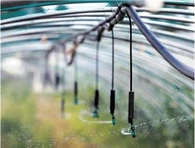 Hängande Mini Sprinkler Set