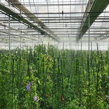 Greenhouse Dripping Irrigation Pipe