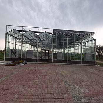 Leaf Vegetable Greenhouse