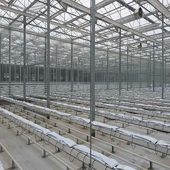 Leaf Vegetable Greenhouse