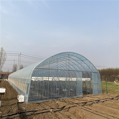 Leaf Vegetable Greenhouse
