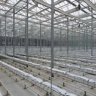 PC Side Och PE Tak Växthus