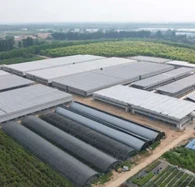 Plastfilm Växthusgård med inre/yttre skuggsystem