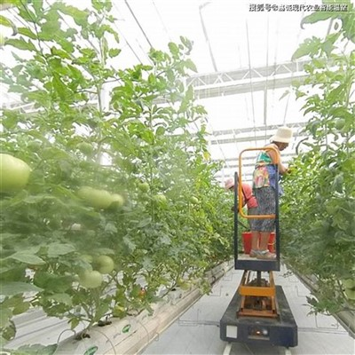 Stilar av växthusspecialiserade saxlyftbordsplattform